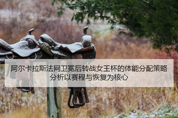 a-er-ka-la-si-fa-wang-wei-mian-hou-zhuan-zhan-nv-wang-bei-de-ti-neng-fen-pei-ce-lve-fen-xi-yi-sai-cheng-yu-hui-fu-wei-2-578.jpg