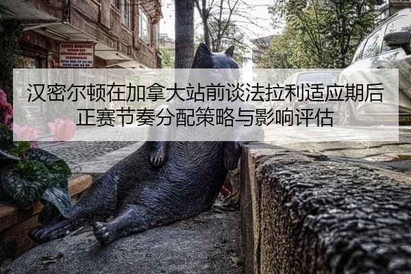 han-mi-er-dun-zai-jia-na-da-zhan-qian-tan-fa-la-li-shi-ying-qi-hou-zheng-sai-jie-zou-fen-pei-ce-lve-yu-ying-xiang-ping-2-377.jpg